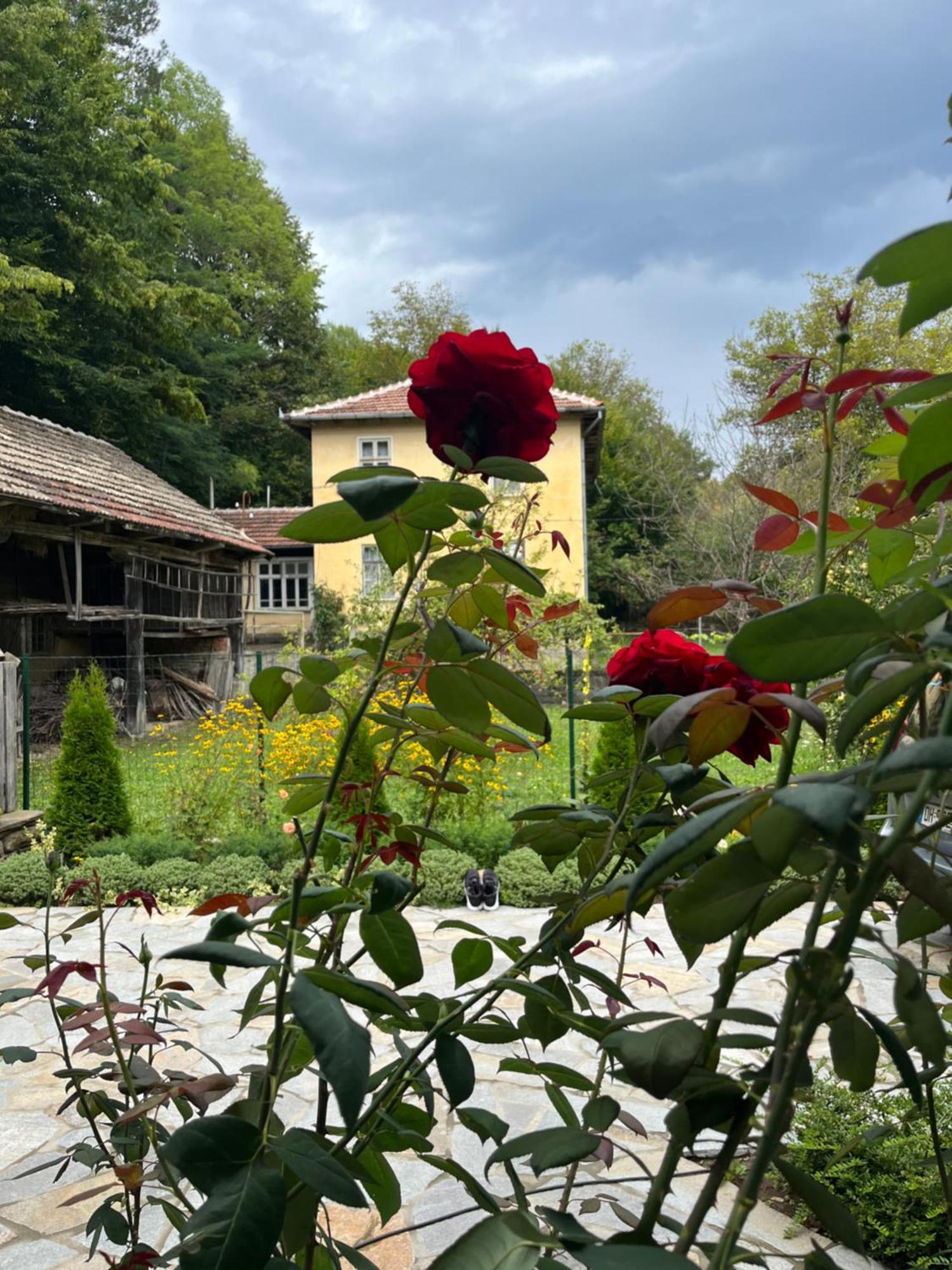 Verta House Trjawna Exterior foto