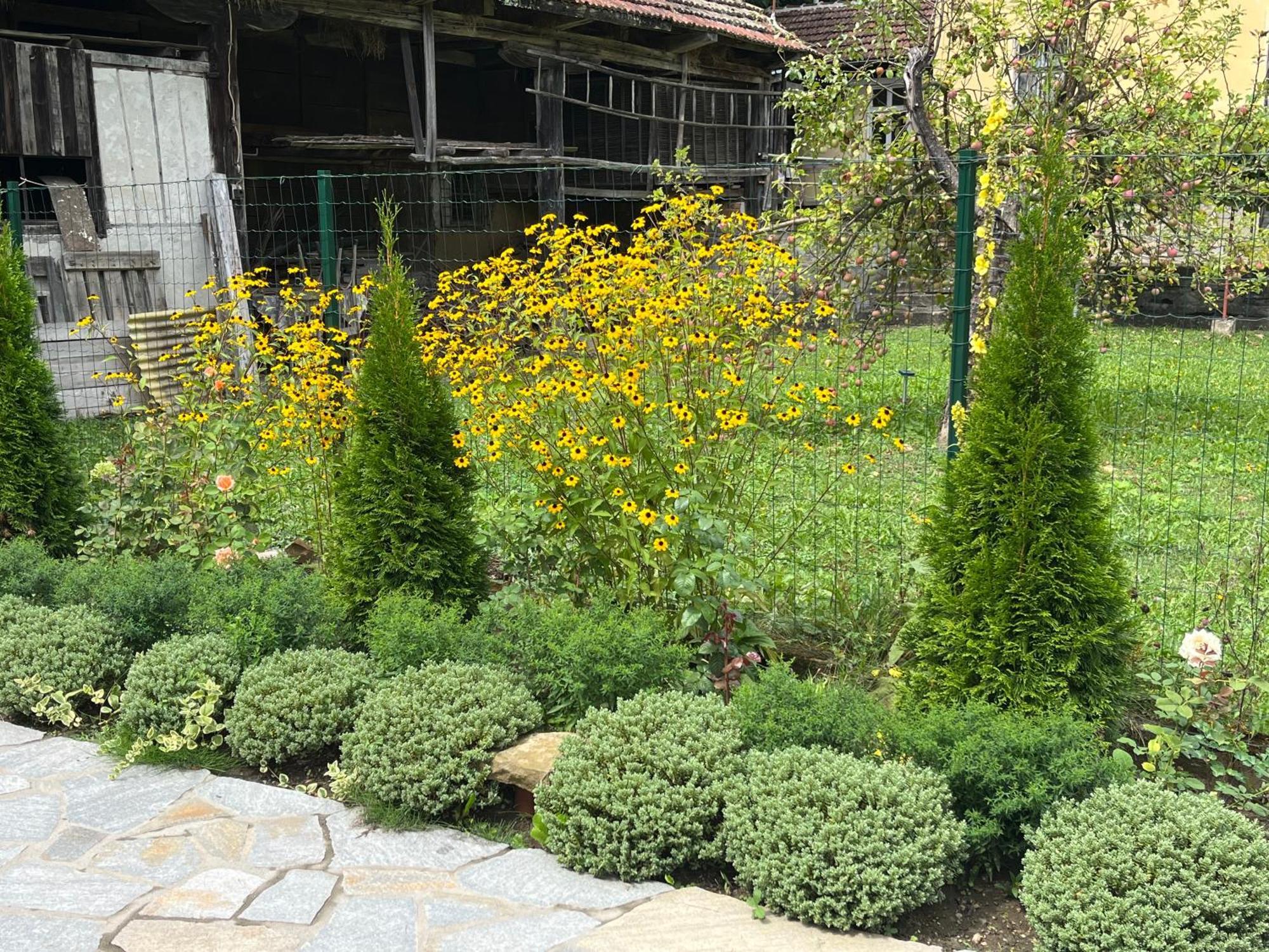 Verta House Trjawna Exterior foto